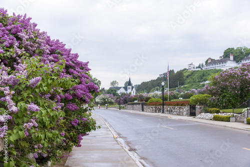 Lilacs in front of Marquette Park on Mackinac Island © Jennifer