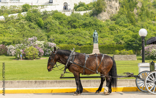 Horse drawn carriage on Mackinac Island during the Lilac Festival © Jennifer