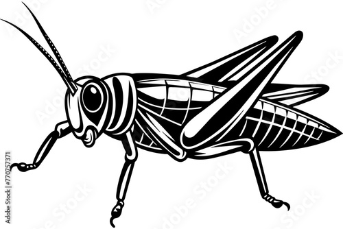 grasshopper-vector-illustration