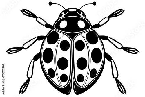ladybug-vector-illustration © Jutish
