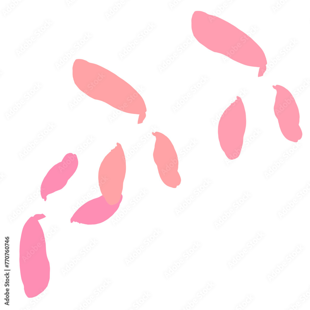 rabbit on white background rabbit on white background
