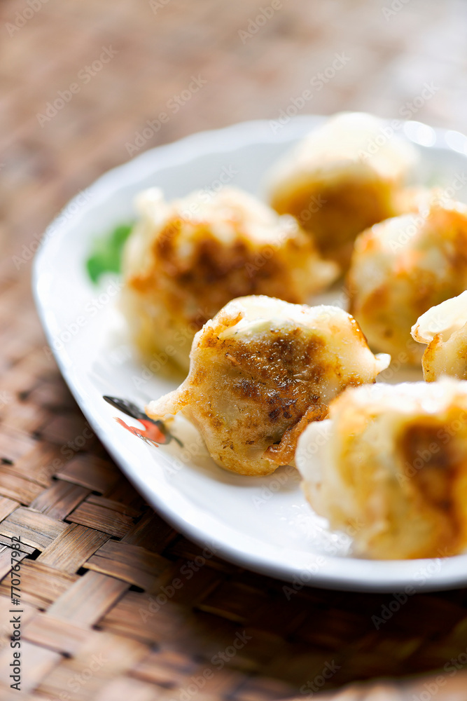 chinese pan fried dumplings