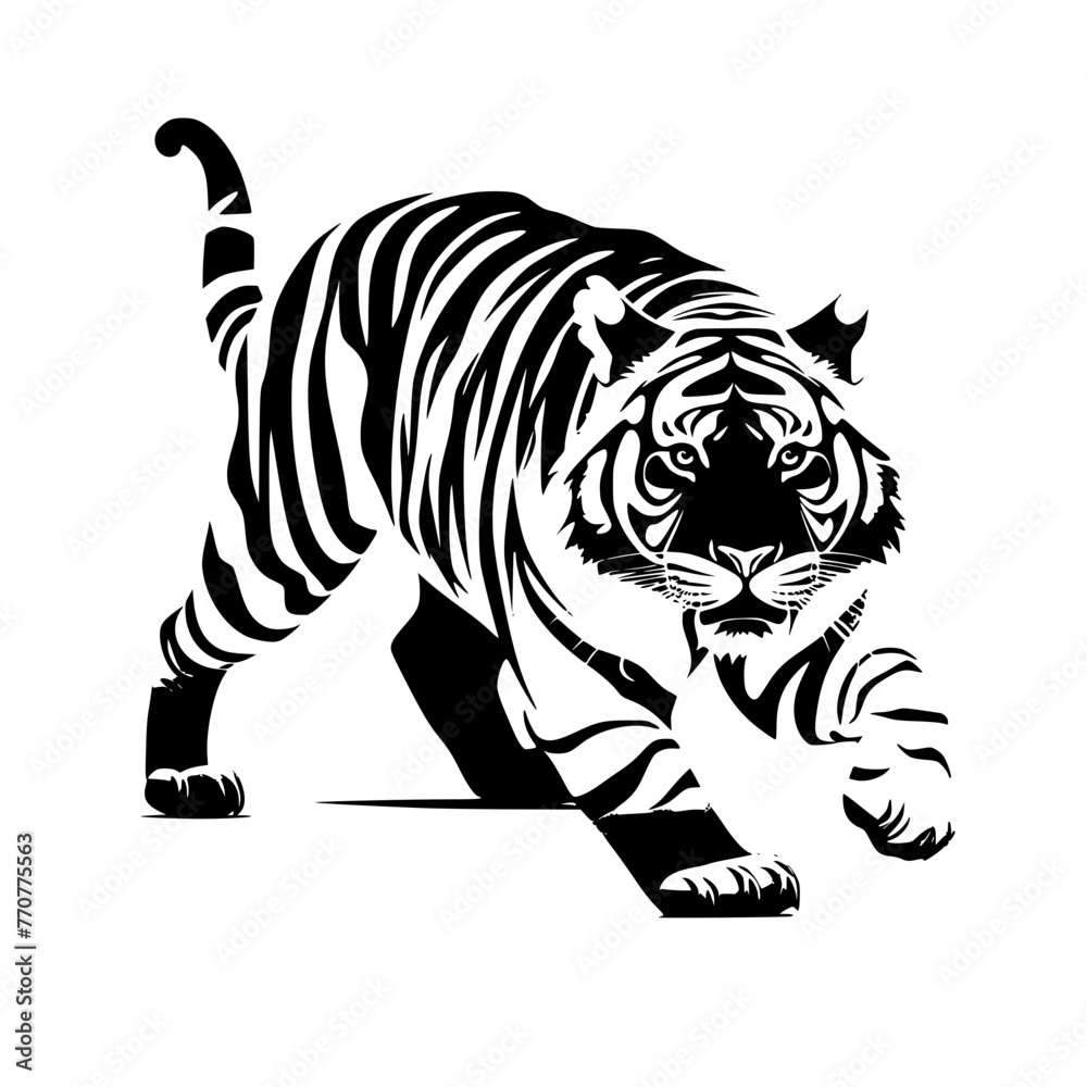 tiger on white