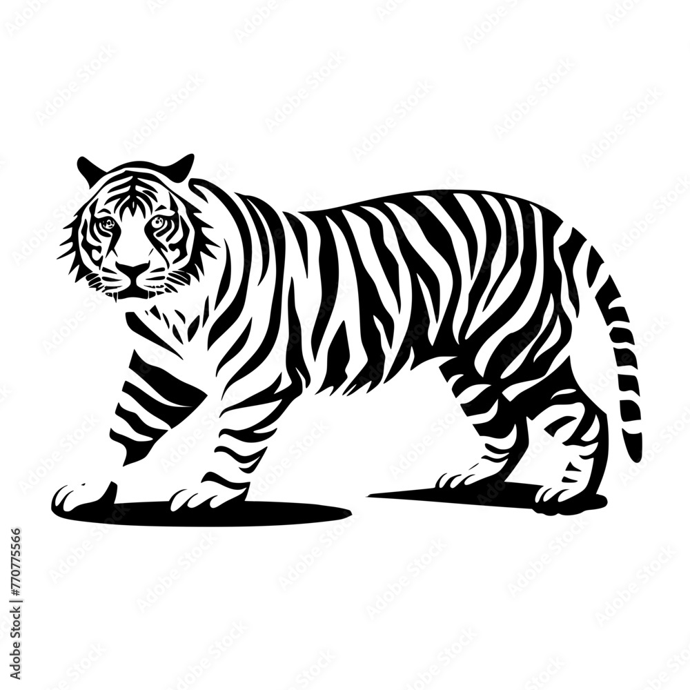 Obraz premium tiger