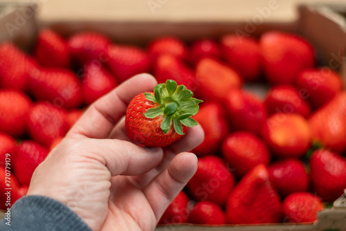Erdbeere in der Hand