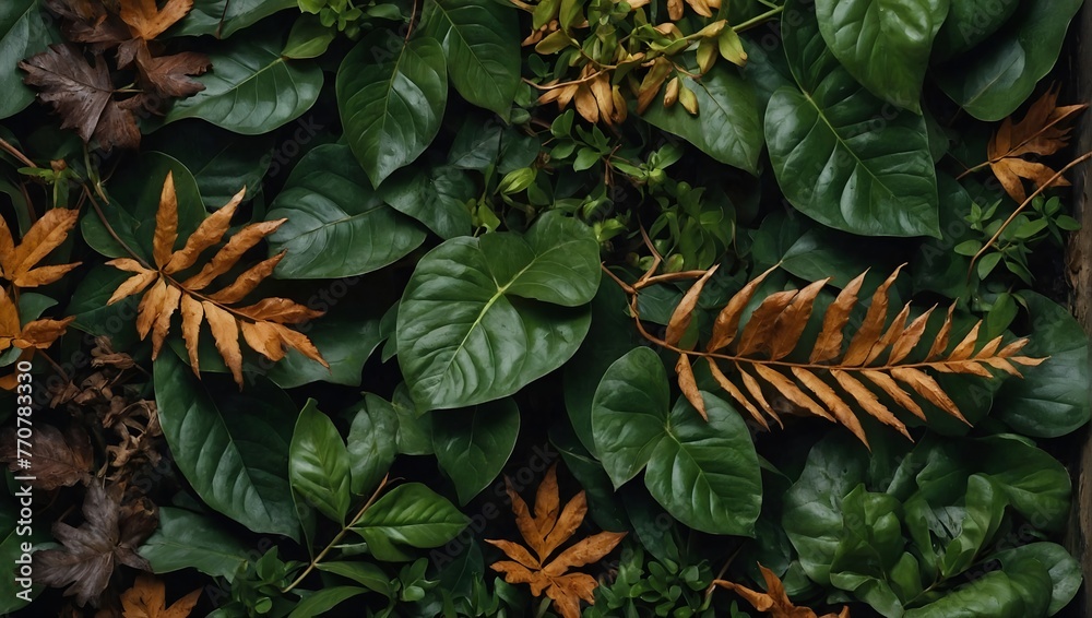 Obraz premium An arranged composition of leaves and branches