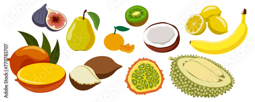 set of colored isolated fruits in flat style in vector. image of natural healthy eco food.template for logo sticker poster print decor design app web page