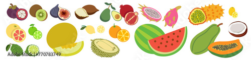 set of colored isolated fruits in flat style in vector. image of natural healthy eco food.template for logo sticker poster print decor design app web page