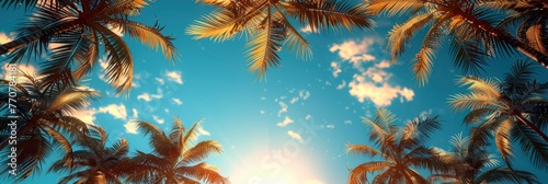 Background Branches Tropical Palm Trees, Background HD, Illustrations