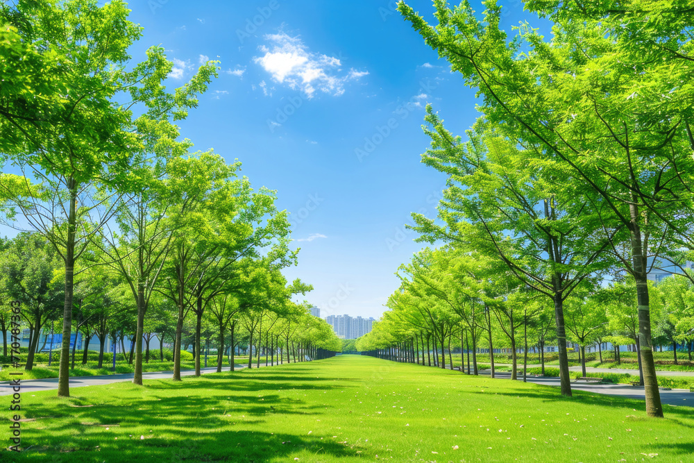 Fototapeta premium empty green park, blue sky, between downtown ,Generative Ai