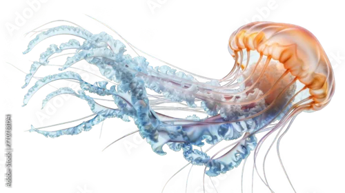 Obraz Jovial jellyfish dancing gracefully in the rhythm of the ocean waves isolate on transparent background, cutout, png