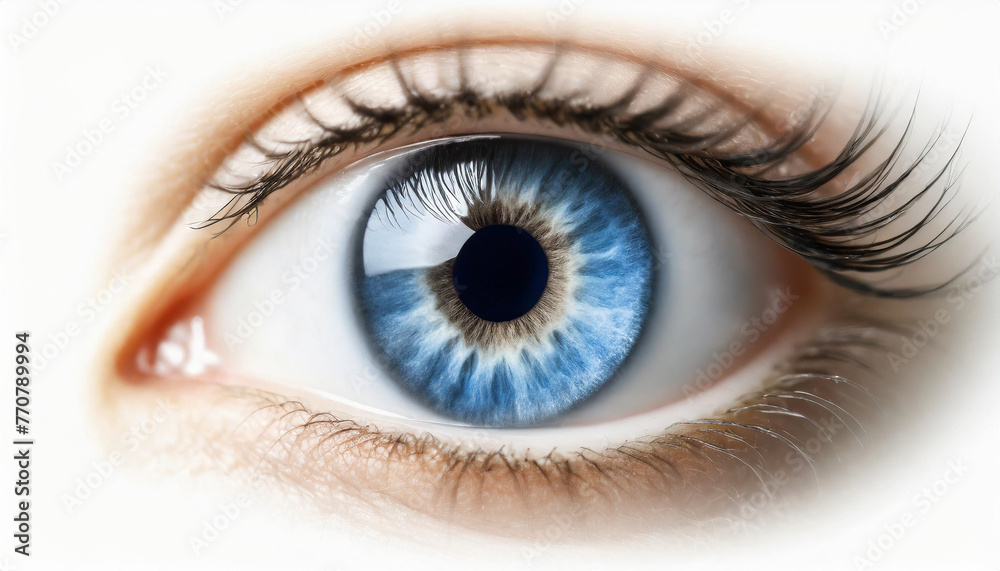 Human blue eye with button inside. Eye vision concept. Abstract image, isolated on white background. Human blue eye with button inside. Eye vision concept. Abstract image, isolated on white background.