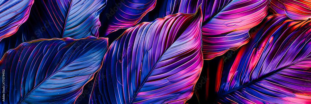 A Jungle in Digital Space, Abstract Technology and Nature Merge in a Colorful Display of Pattern and Light