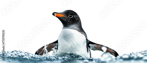 Penguin comes out of the sea isolate on transparent background, cutout, png