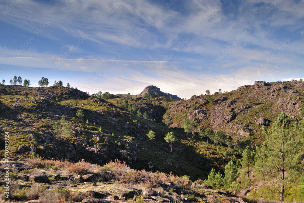 Mountain landscape with vegetation in a sunny spring, Serra do Gerês in Portugal