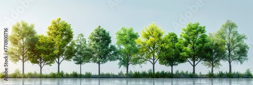 Cutout Tree Line Row Green Trees, Background HD, Illustrations