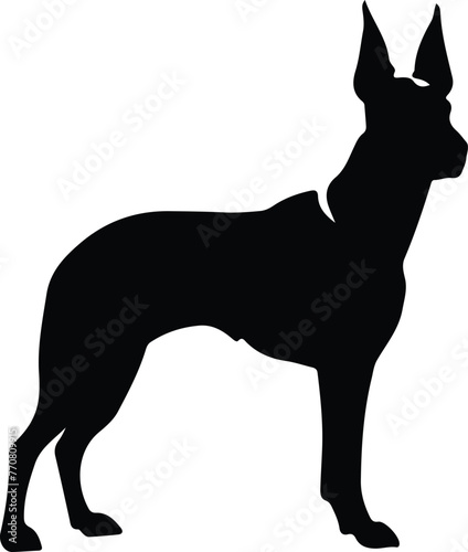 Doberman pinscher silhouette