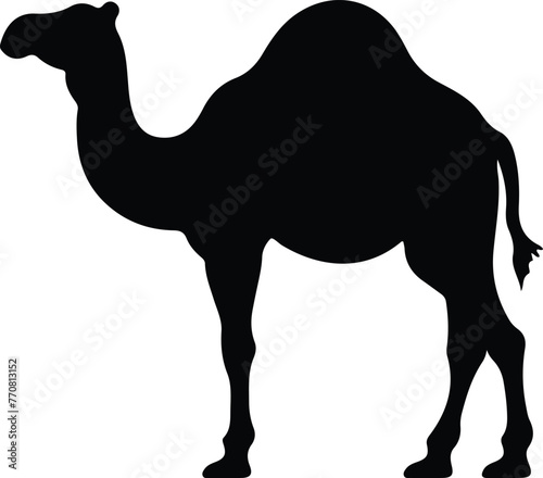 dromedary silhouette