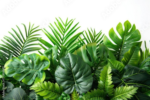 Green leaves of tropical plants bush floral arrangement indoors garden nature backdrop isolated on white background - generative ai