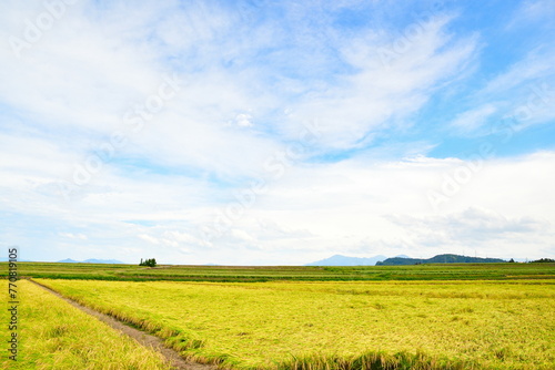 池ケ原の田園風景（新潟県） photo