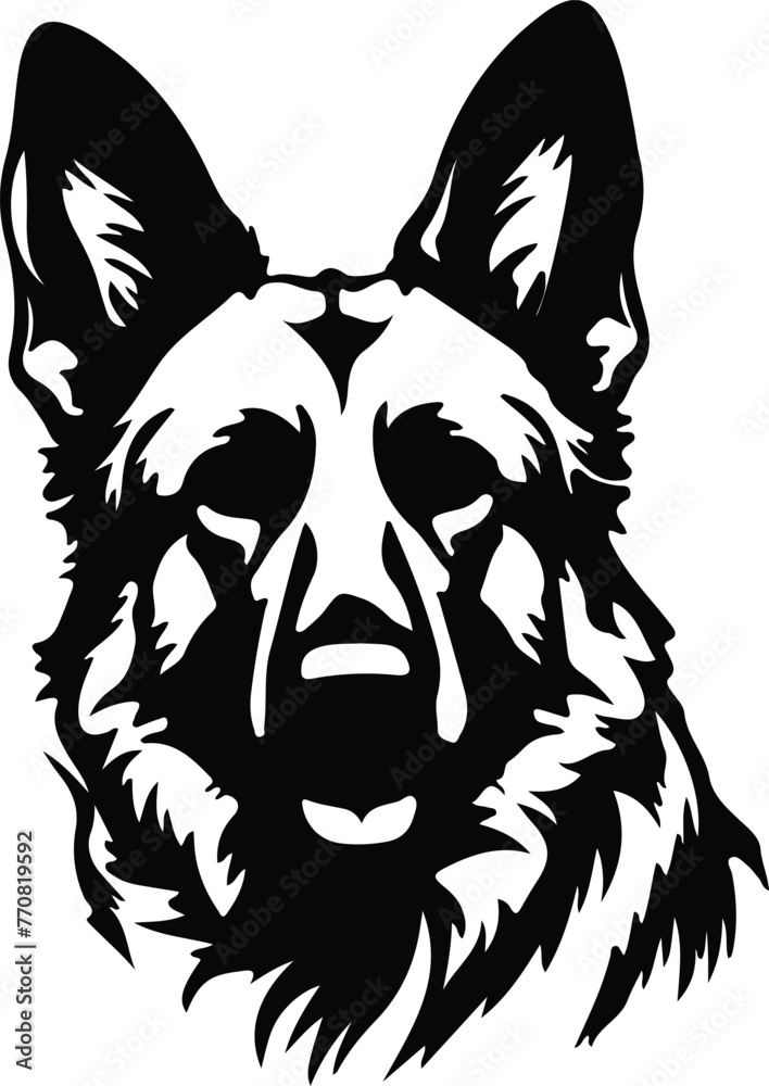 Obraz premium German shepherd silhouette