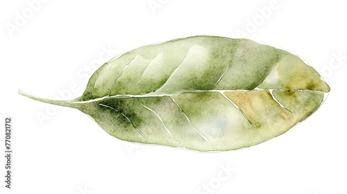  watercolor painting, white background with sage green leaves, simple design, minimalistic, neutral color palette,