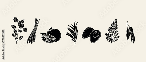 Flat vector cosmetic plants and herbs. Lemon verbena, lemongrass, pomegranate, tea tree, avocado, moringa, eucalyptus