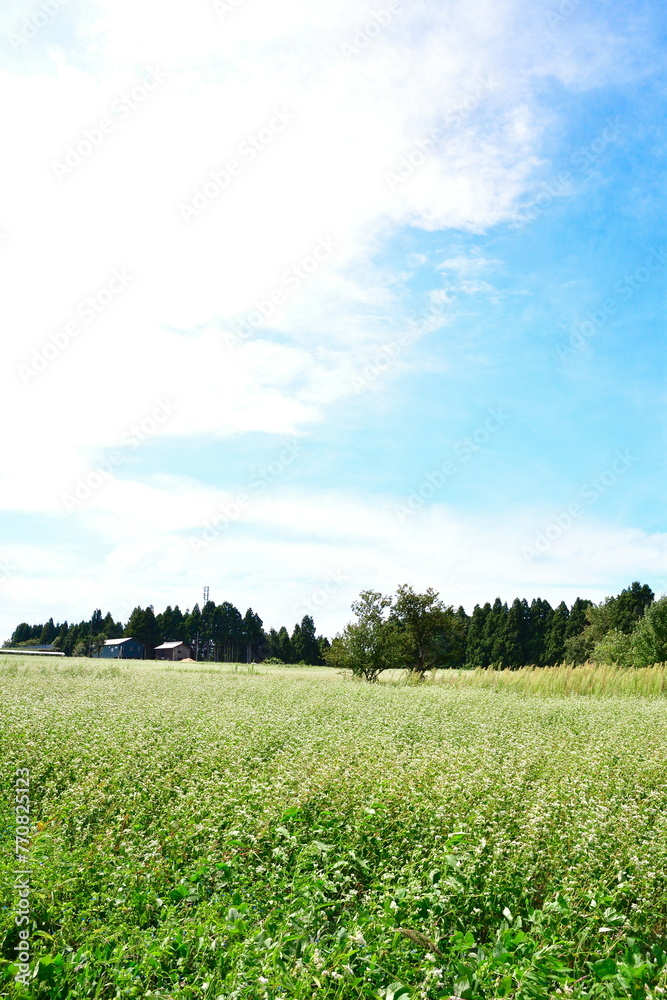 Obraz premium 長岡市越路の田園風景（新潟県）