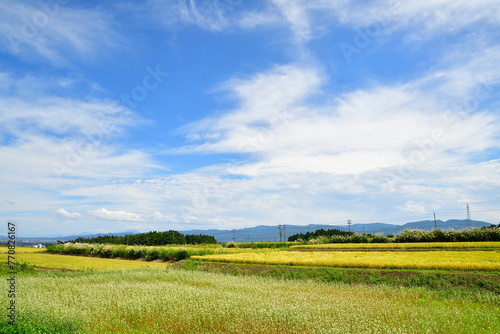 長岡市越路の田園風景（新潟県） photo
