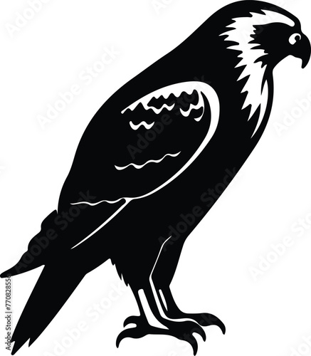 hawk silhouette