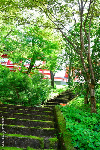 宝徳山稲荷大社（新潟県） photo