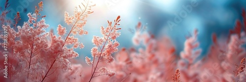 Soft Gently Wind Grass Flowers Aesthetic, Background HD, Illustrations © Cove Art