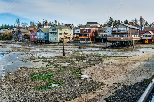 Coupeville Shoreline Scene 2 photo