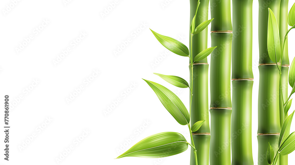 Obraz premium Bamboo plants with lush green leaves against a white background, creating a serene and natural ambiance. generative ai