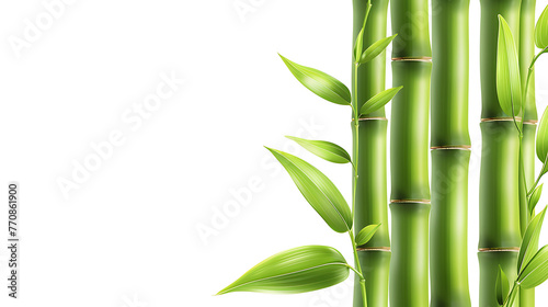 Bamboo plants with lush green leaves against a white background, creating a serene and natural ambiance. generative ai