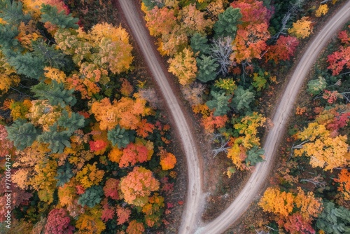 Country road winds through vibrant fall-colored forest in aerial view