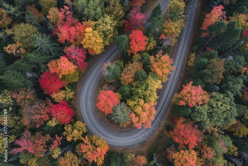 Country road winding through a forest with vibrant fall colors viewed from above © Ilia Nesolenyi