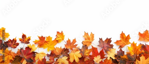 Autumn maple leaves border isolated on white background  panoramic view Generative AI