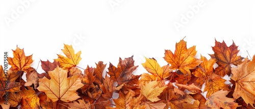 Autumnal maple leaves border isolated on white background  panoramic view Generative AI