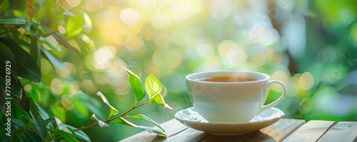 A cup of natural wellness on a blurred nature green background.