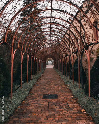 Marques de Riscal winery path symmetry in a cloudy day photo