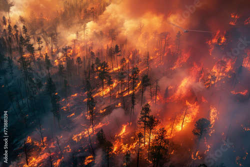 Aerial View of Forest Wildfire at Dusk
