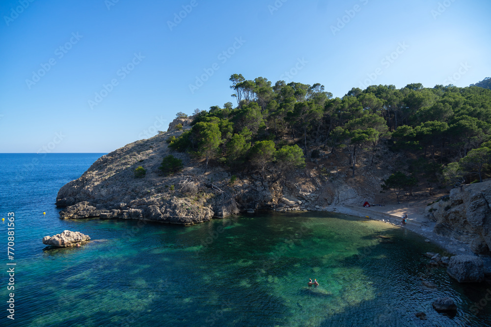 Mallorca beach on a sunny summer day with the Mediterranean sea, the sand, and the pine trees