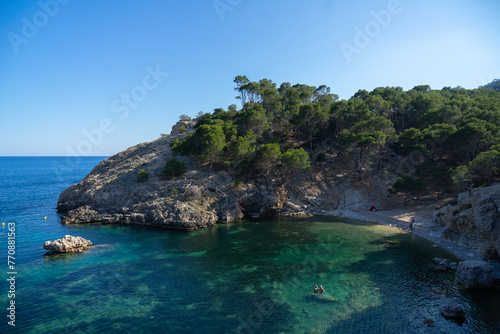 Mallorca beach on a sunny summer day with the Mediterranean sea, the sand, and the pine trees