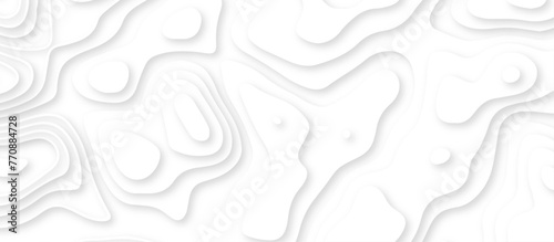 Fototapeta Naklejka Na Ścianę i Meble -  Abstract geometric layered curve line white background. 3d render, paper cut vector art background banner texture. multi layer cutout geometric patterns with smooth wavy layer. white background. 