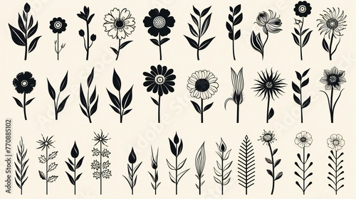 set of black vector illustration of flower © Amena