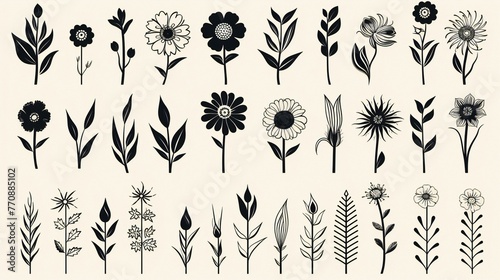 set of black vector illustration of flower