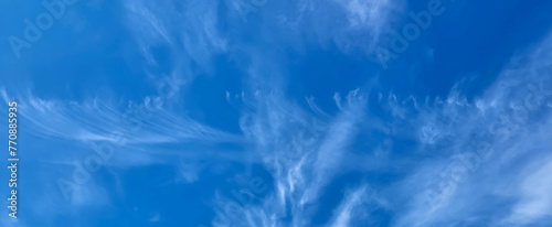 Panorama of the beautiful blue sky and feathery white clouds photo