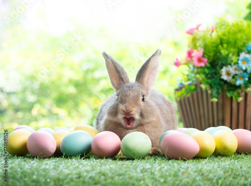 Gray rabbit sitting  with easter eggs on green grass and green nature background.