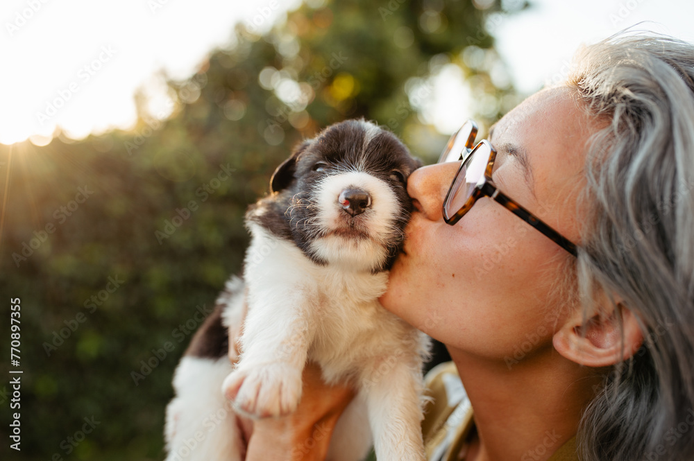 Rescue Dog Rescue Dog
